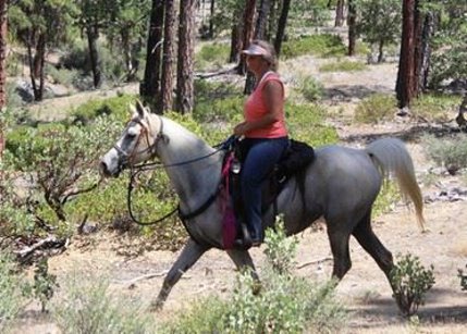 Belle doing Weaver Basin ride 2013