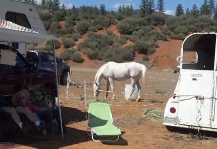 Belle horse camping